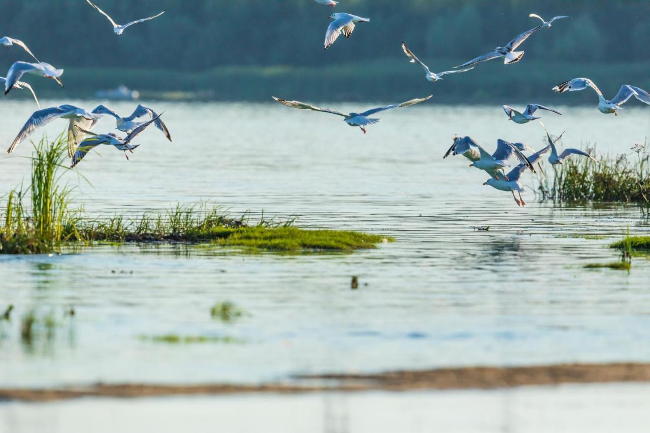 Гостинний Двір На Хуторі Хрещатик Buitenkant foto